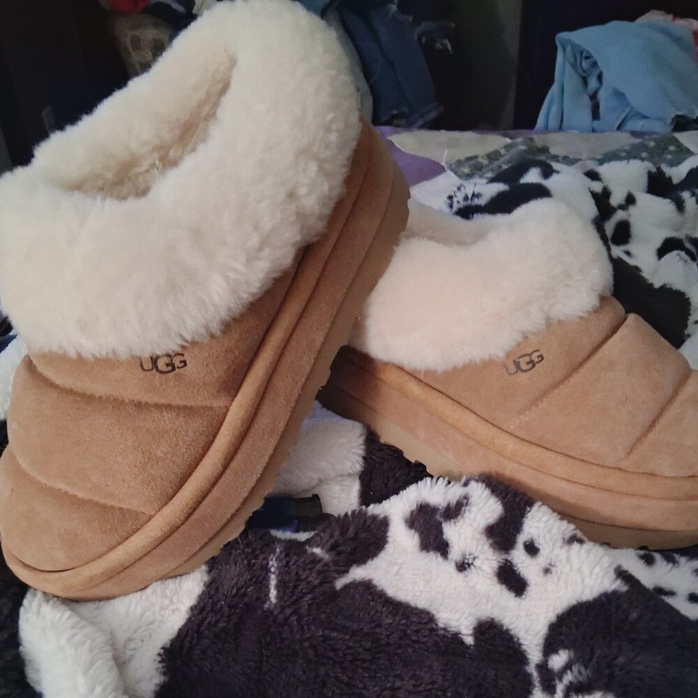 Tazzlita UGG